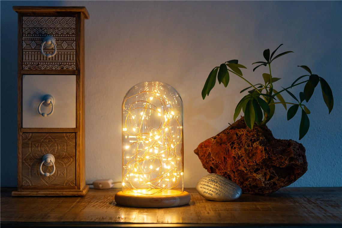 goobay Glasglocke mit LED-Micro-Lichterkette / dekorative Lampe / warmes, beruhigendes Licht / feierliche Beleuchtung für Winterdeko, Weihnachten, Innendekoration / Echtholz, Glas, mit Schalter